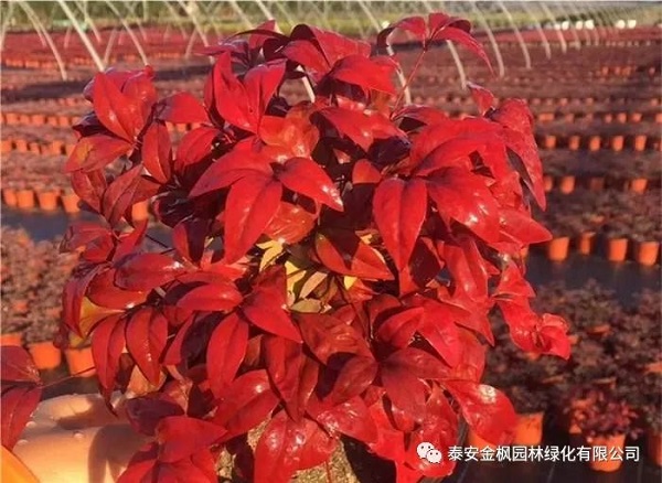 微信圖片_20220723161401.jpg 微信圖片_20220723161401.jpg