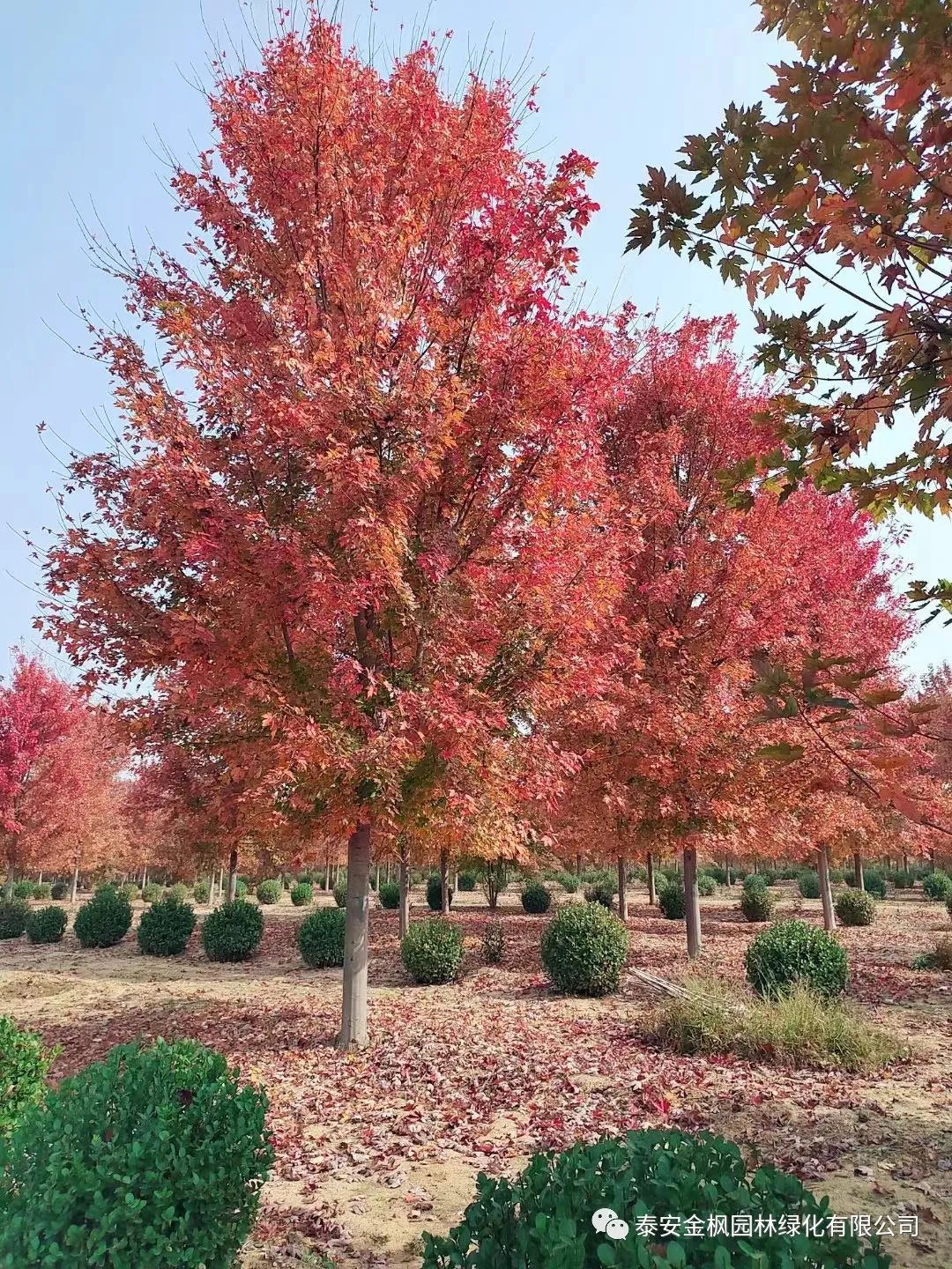 微信圖片_20221227162316 微信圖片_20221227162316